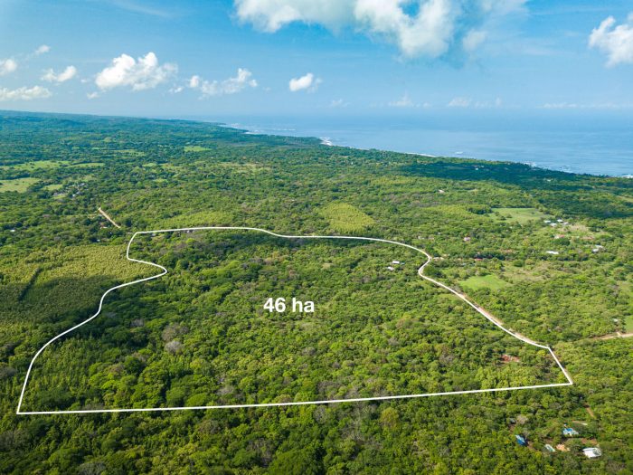 46 Hectare Ocean View