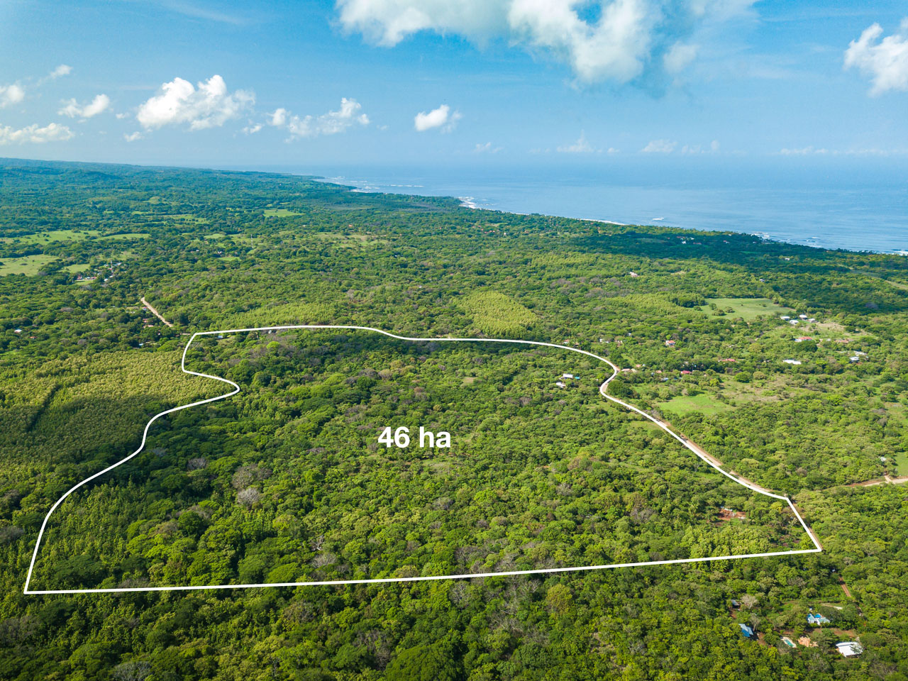 46 Hectare Ocean View