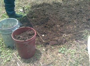 Prepping soil